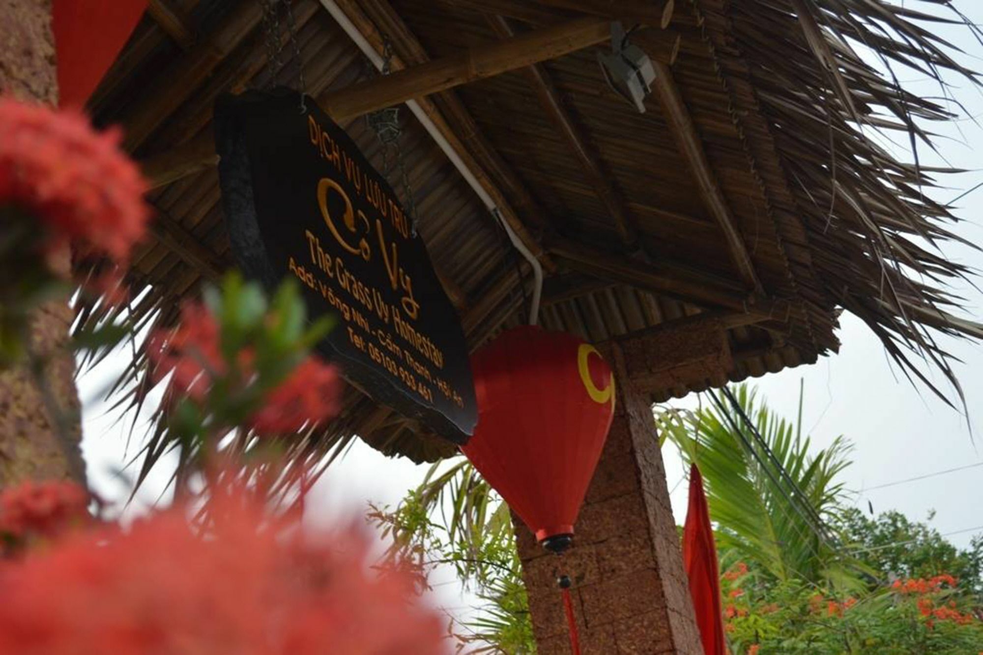 Ferienwohnung The Grass Vy Hoi An Exterior foto