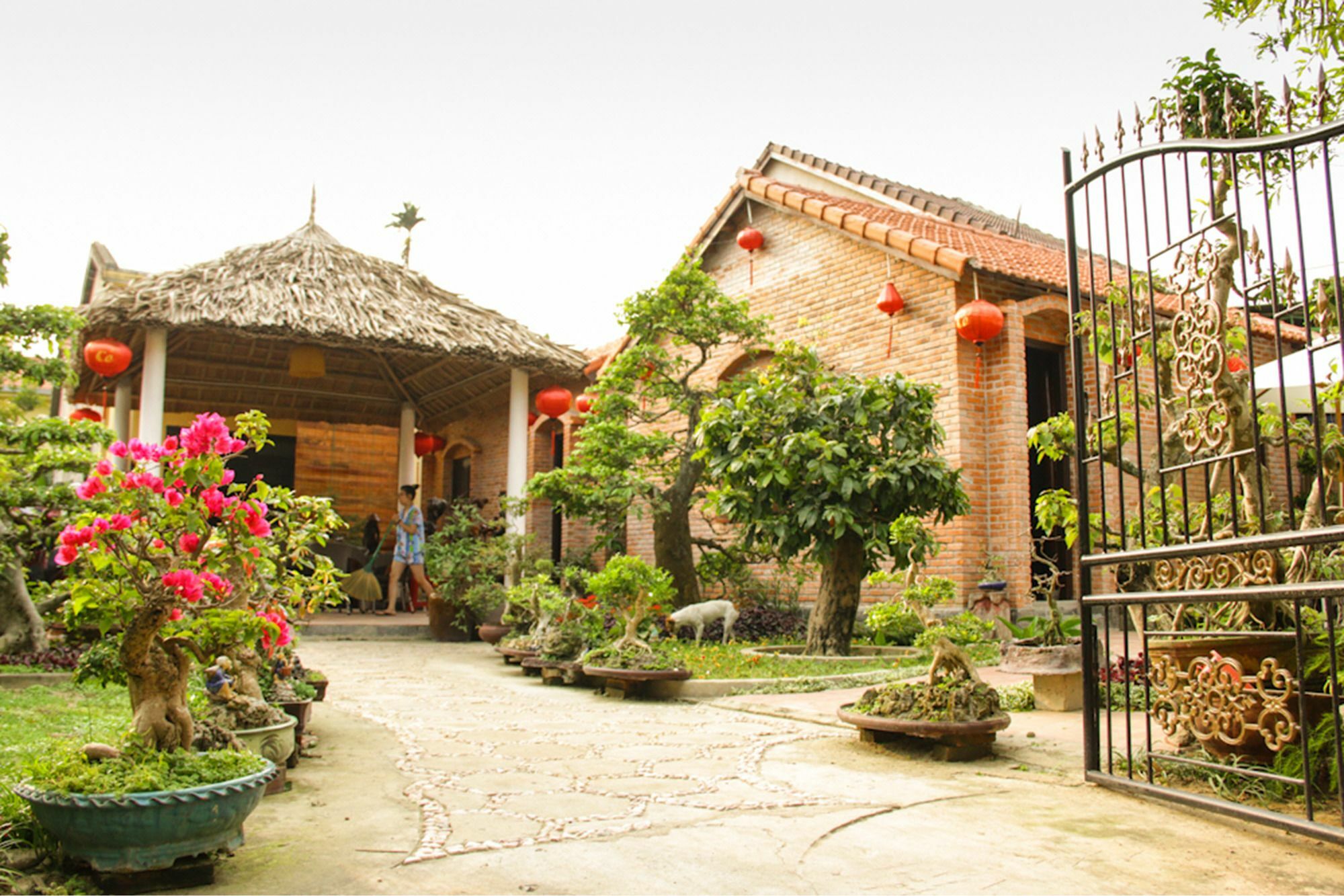 Ferienwohnung The Grass Vy Hoi An Exterior foto