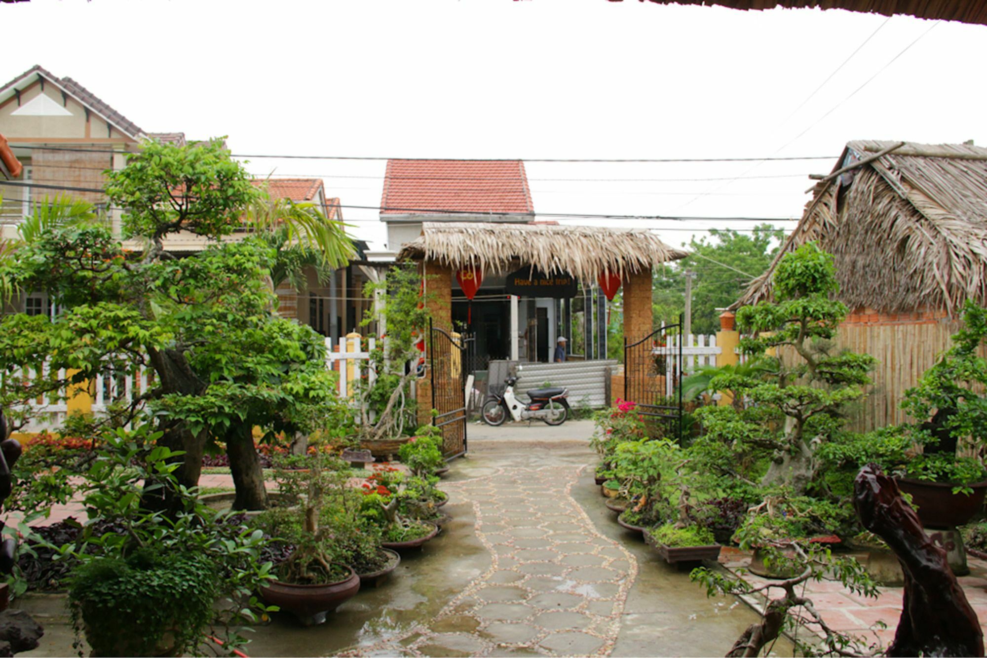 Ferienwohnung The Grass Vy Hoi An Exterior foto